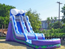 21 FT Purple Waterslide