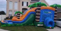 TROPICAL COMBO DUAL LANE (Wet/Dry) TROPICAL COMBO DUAL LANE (Wet/Dry)